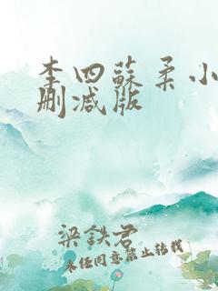 李四苏柔小说无删减版