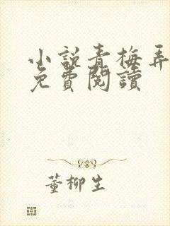 小说青梅弄竹马免费阅读