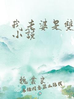 我老婆是双胞胎小说