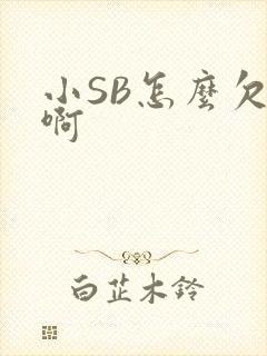 小SB怎么欠C啊