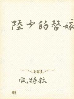 陆少的替嫁宠妻