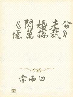 《闪婚老公竟是亿万总裁》小说