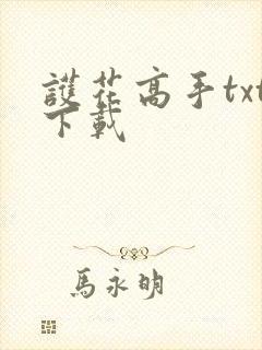 护花高手txt下载