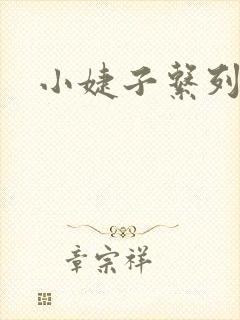 小婕子系列小说