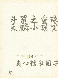 斗罗之灵珠神剑天麟小说完整版下载txt