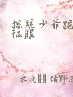 总统少爷跪地唱征服