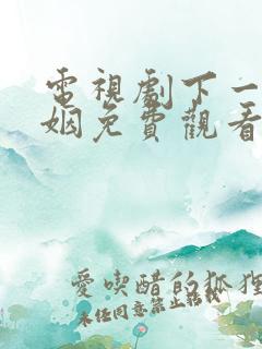 电视剧下一站婚姻免费观看全集剧情