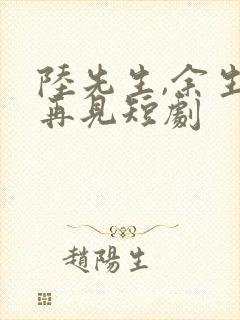 陆先生,余生不再见短剧