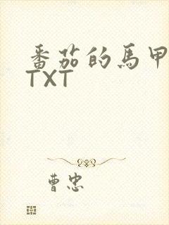 番茄的马甲小说TXT