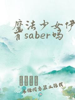 魔法少女伊莉雅有saber吗