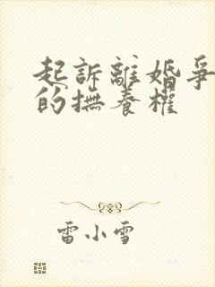 起诉离婚争取娃的抚养权