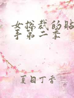 女总裁的贴身高手第二季