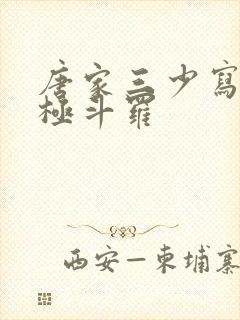 唐家三少写的终极斗罗