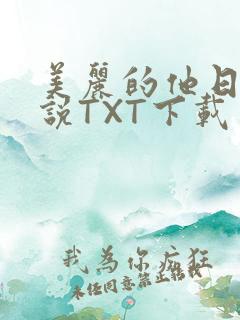 美丽的他日剧小说TXT下载