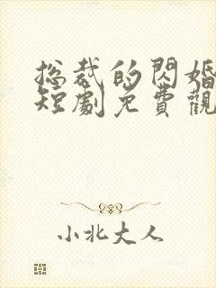 总裁的闪婚甜妻短剧免费观看