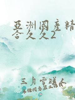 亚洲国产精品综合久久2