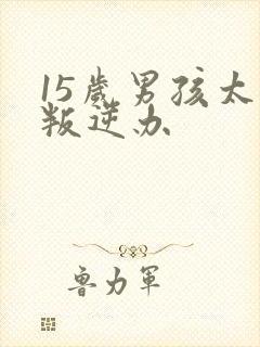 15岁男孩太的叛逆办