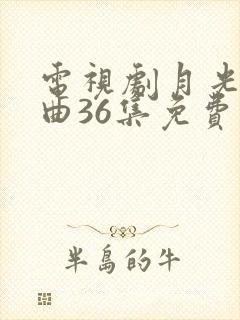 电视剧月光变奏曲36集免费观看