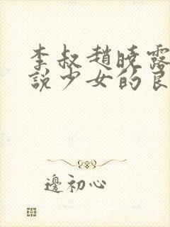 李叔赵晓露的小说少女的良药