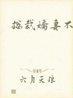 总裁娇妻不太乖