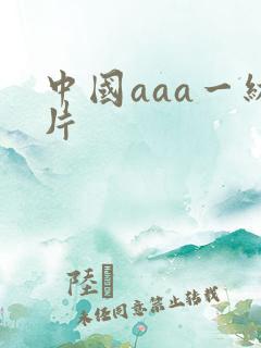 中国aaa一级片