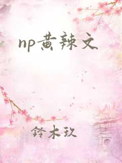 np黄辣文