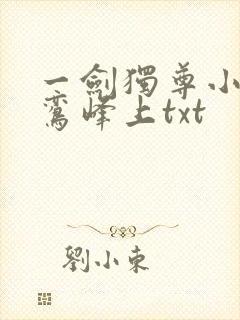 一剑独尊小说青鸾峰上txt