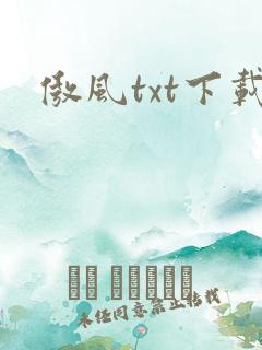 傲风txt下载