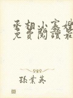 丞相小寡嫂小说免费阅读最新章节