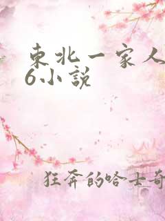 东北一家人1一6小说