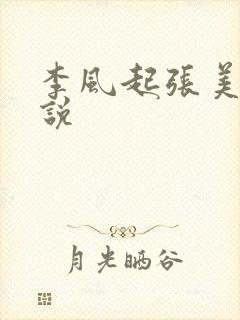 李风起张美丽小说