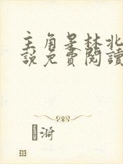 主角是林北的小说免费阅读