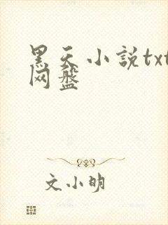 黑天小说txt网盘