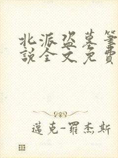 北派盗墓笔记小说全文免费看