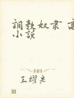 调教奴隶 高h小说