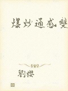 爆炒通感双胞胎