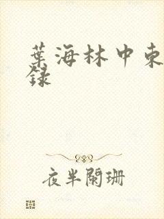 叶海林中东风云录