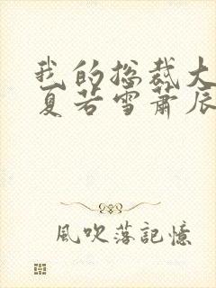 我的总裁大老婆夏若雪萧辰小说