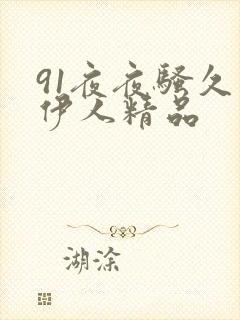 91夜夜骚久久伊人精品