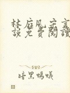 林庭风宋言汐小说免费阅读全文无弹窗