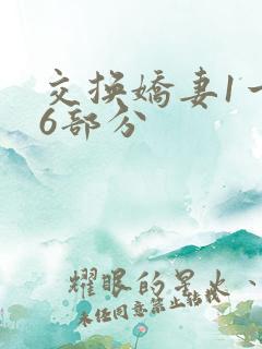 交换娇妻1一36部分