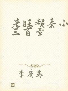 老旺超秦小雨第三百章