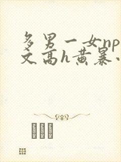 多男一女np辣文高h黄暴小说