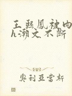 王熙凤被肉干高h潮文不断