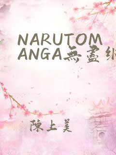 NARUTOMANGA无尽纲手