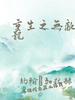 重生之无敌项少龙
