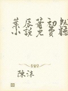 叶辰萧初然有声小说免费听