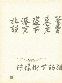 北派盗墓笔记小说完本免费阅读