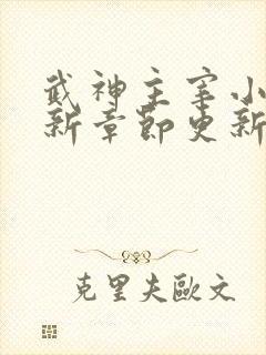 武神主宰小说最新章节更新