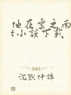 他在云之南txt小说下载